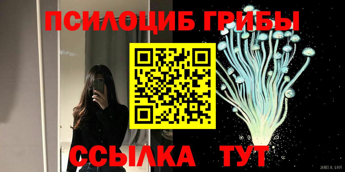Камень-на-Оби  Псилоцибиновые грибы мухоморы  Вход с VPN 